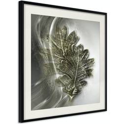 Arkiio Affisch Oak Leaf [Poster] 30x30 Poster